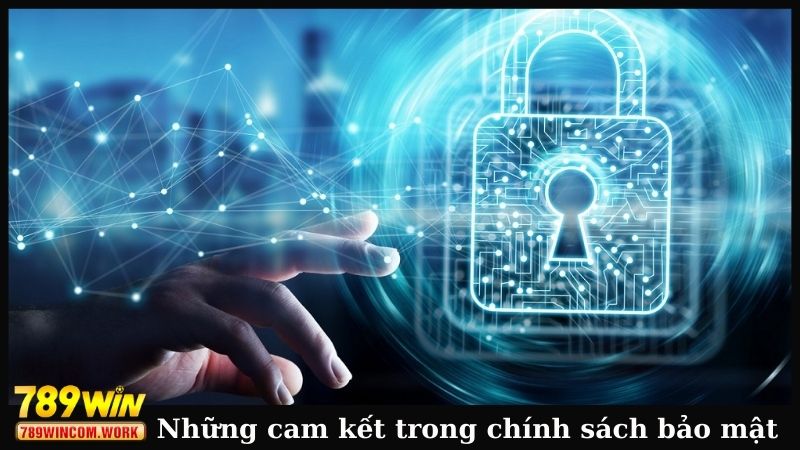 Những cam kết có trong chính sách bảo mật 
