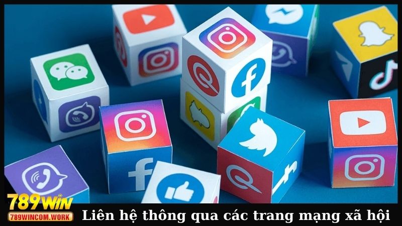 Liên hệ thông qua các trang mạng xã hội