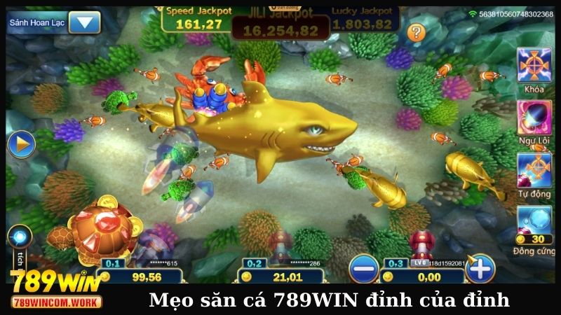 Mẹo săn cá 789WIN đỉnh của đỉnh