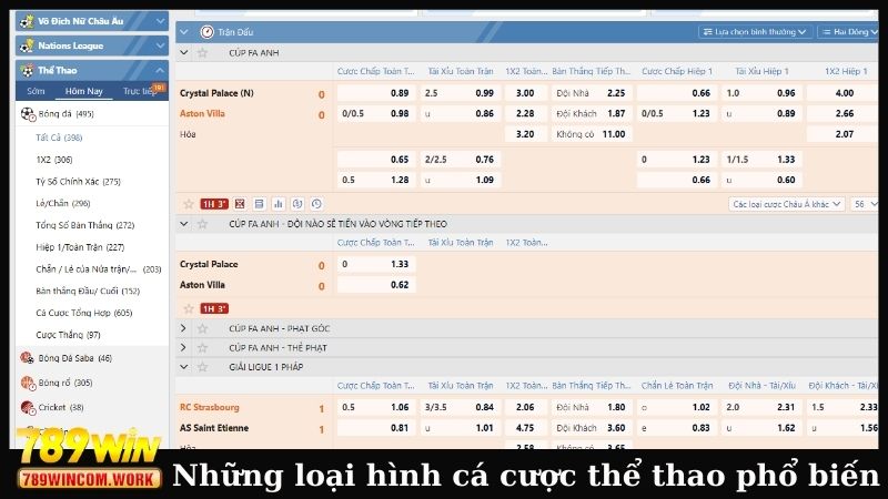 Những loại hình cá cược thể thao phổ biến
